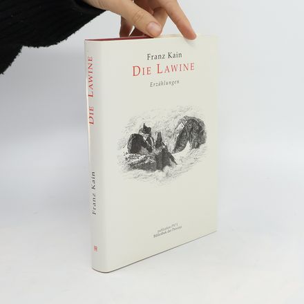 Die Lawine
