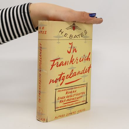 In Frankreich notgelandet