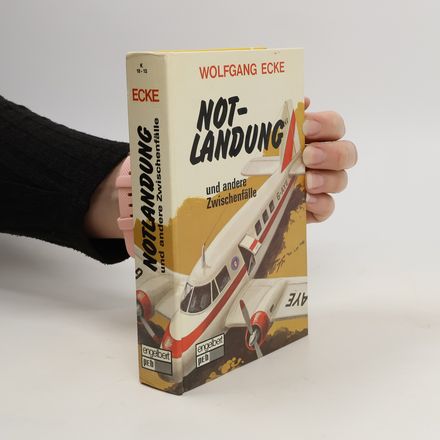 Notlandung und andere Zwischenfälle