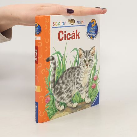 Cicák