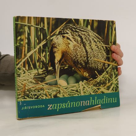 Zapsáno na hladinu