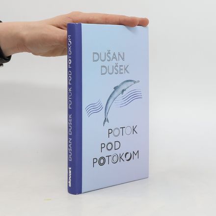 Potok pod potokom