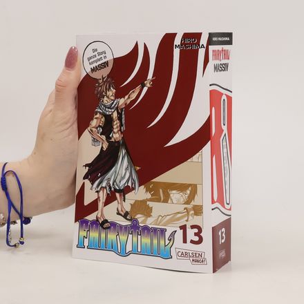 Fairy Tail Massiv 13