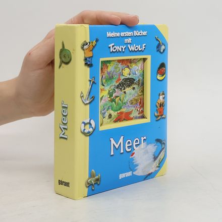 Meer