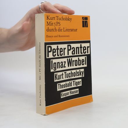 Mit 5 PS durch die Literatur. Essays und Rezensionen