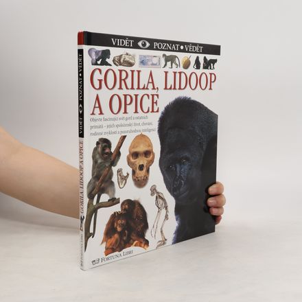 Gorila, lidoop a opice