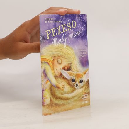 Pexeso Malý princ