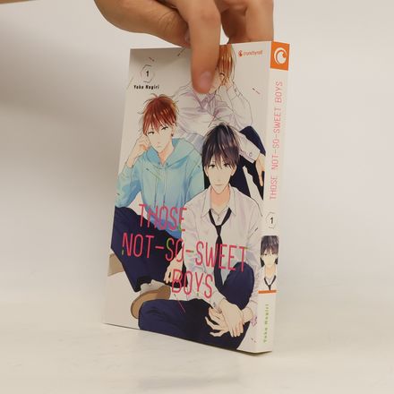 Those Not-So-Sweet Boys – Band 1