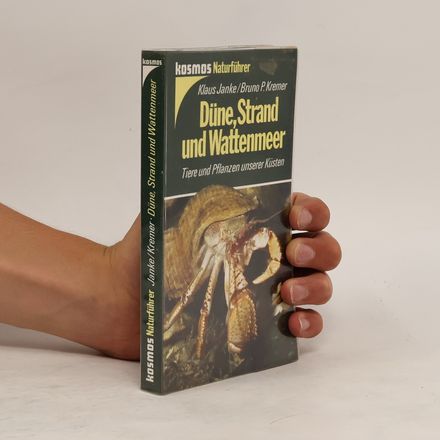 Düne, Strand und Wattenmeer