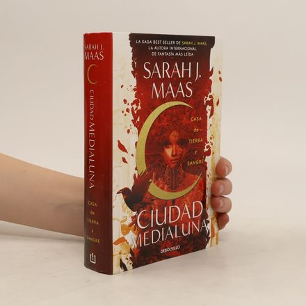 Ciudad Medialuna III