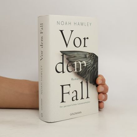 Vor dem Fall