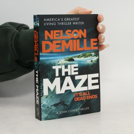 The Maze