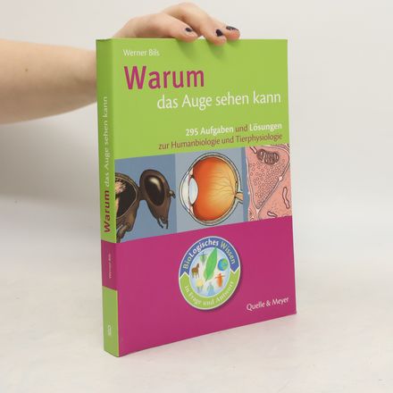 Warum das Auge sehen kann