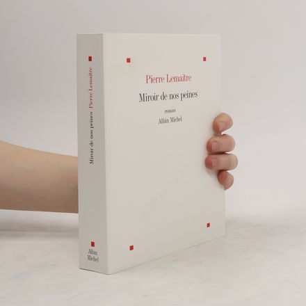 Miroir de nos peines