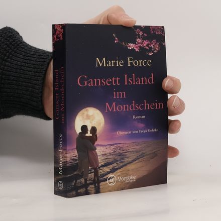 Gansett Island im Mondschein