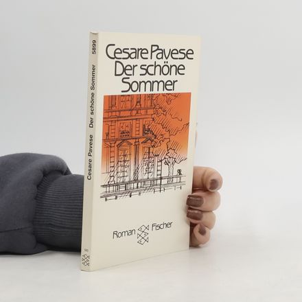 Der schöne Sommer