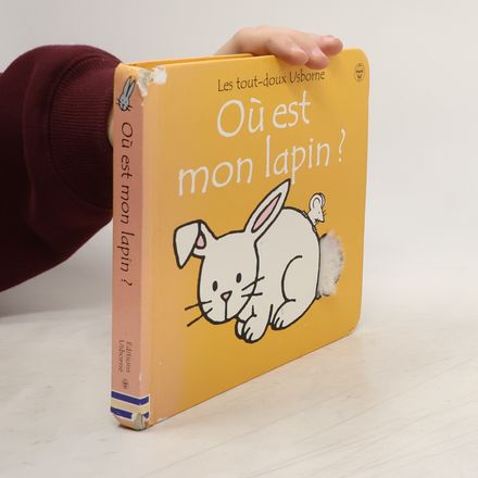 Les tout-doux Usborne: Où est mon lapin ?