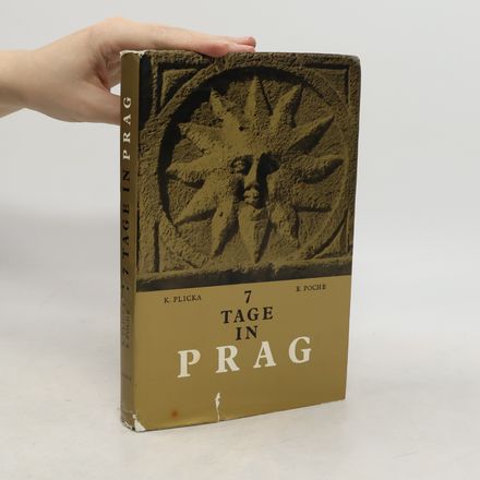7 Tage in Prag