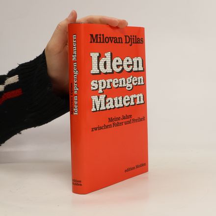 Ideen sprengen Mauern