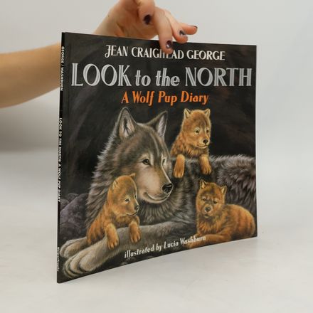 Look to the North