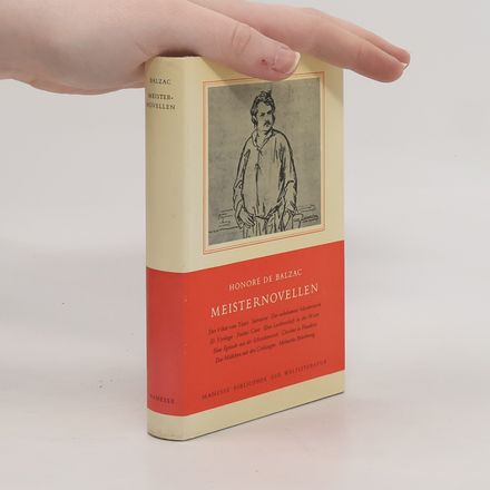 Meisternovellen