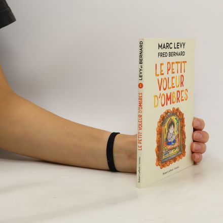 Le petit voleur d'ombres