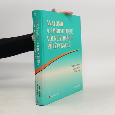 Anatomie a embryologe volně žijících přežvýkavců