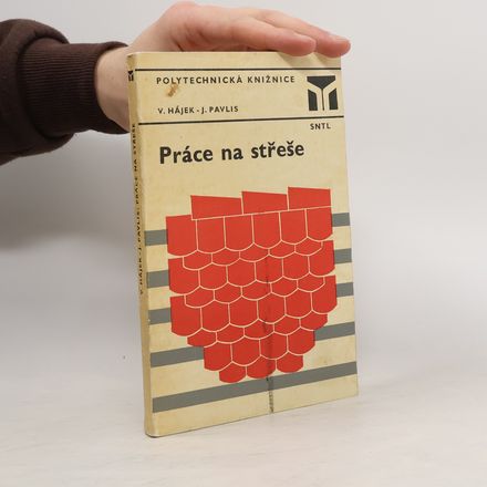 Práce na střeše