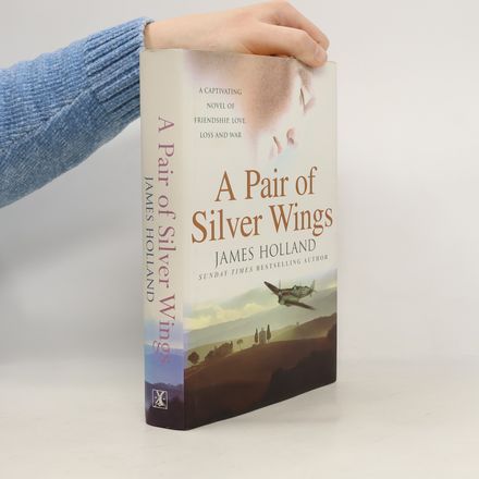 Pair of Silver Wings