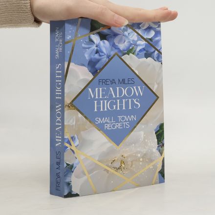 Meadow Hights: Small Town Regrets