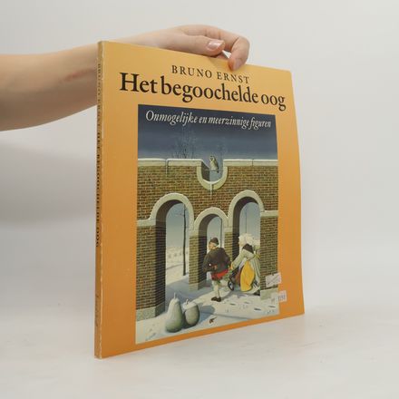 Het begoochelde oog