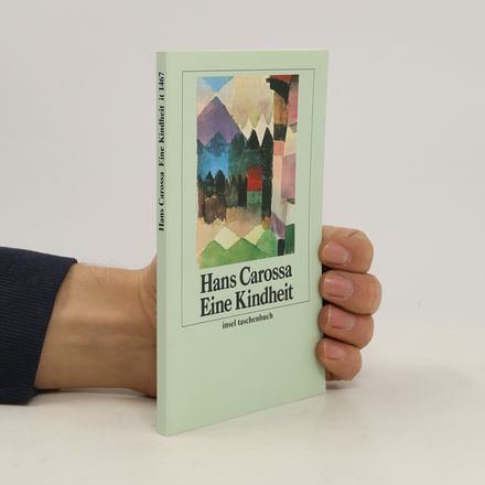 Insel Taschenbuch - 1467: Eine Kindheit