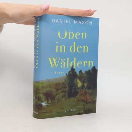 Oben in den Wäldern