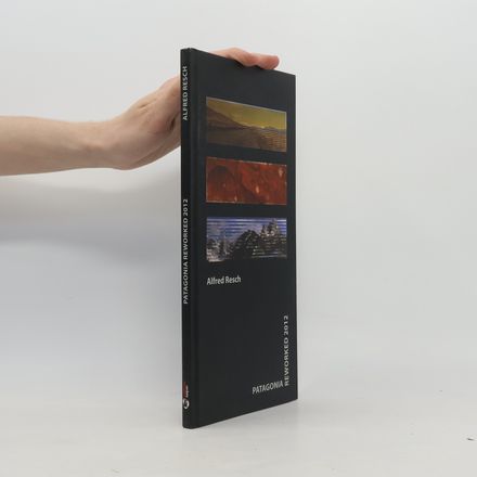 Patagonia Reworked 2012