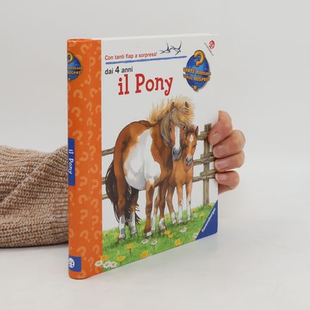 Il pony