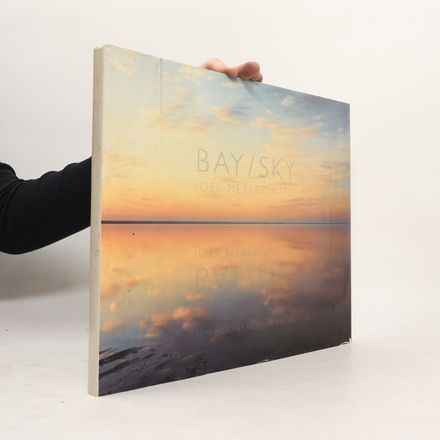 Bay/Sky
