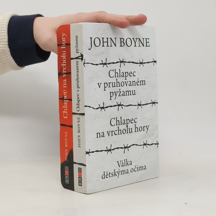 Chlapec v pruhovaném pyžamu. Chlapec na vrcholu hory (box)
