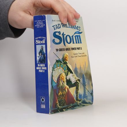 Memory, Sorrow and Thorn - 3: Storm