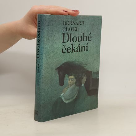 Dlouhé čekání