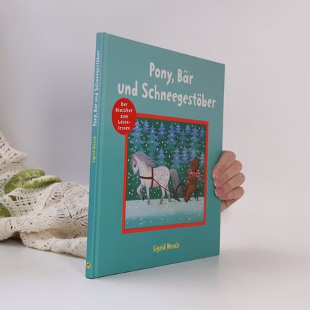 Pony, Bär und Schneegestöber
