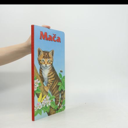 Mača