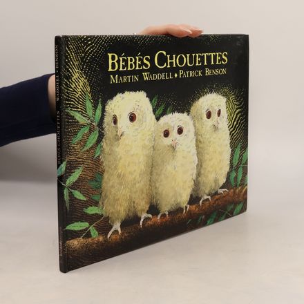Bébés chouettes