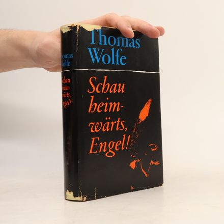 Schau heimwärts, Engel!