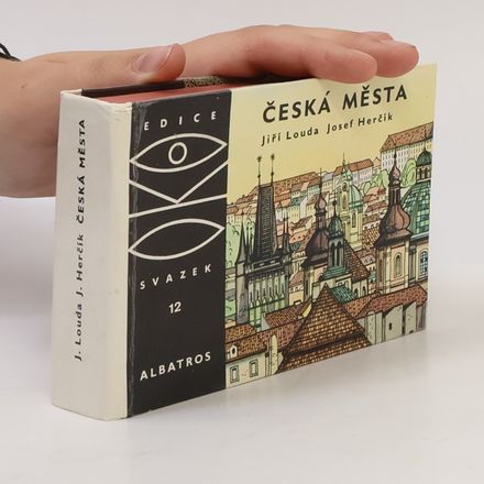 Česká města