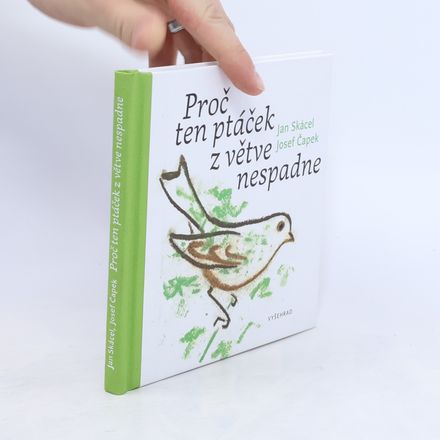 Proč ten ptáček z větve nespadne