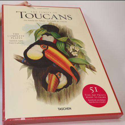 John Gould Family Of Toucans