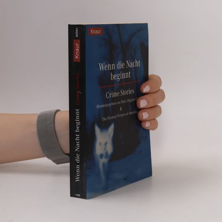 Wenn die Nacht beginnt