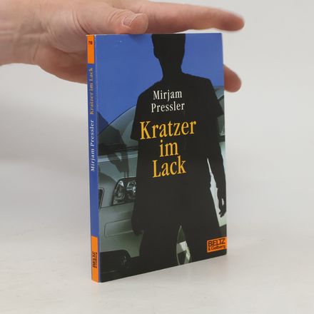 Kratzer im Lack