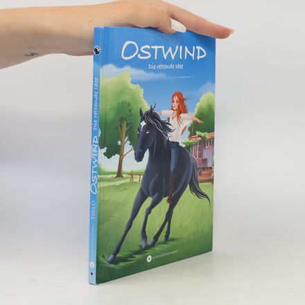 Ostwind - die rettende Idee