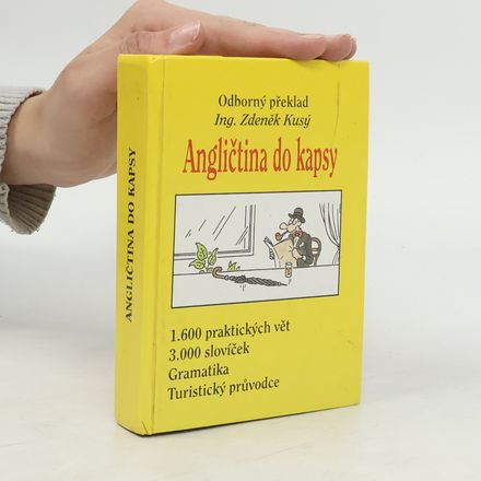 Angličtina do kapsy